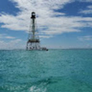 Meet your Posher, Glenna